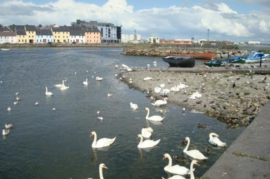 Galway Bay景点图片
