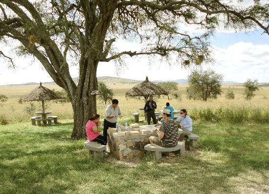 Seronera-塞伦盖蒂国家公园必去景点