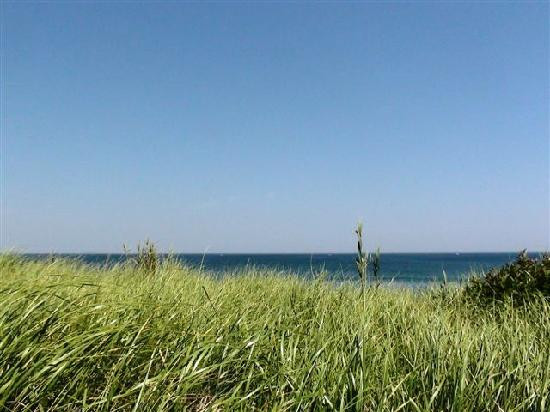 Coast Guard Beach景点图片