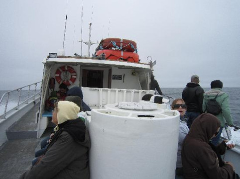 Chris' Fishing Trips & Whale Watching-蒙特雷必去景点