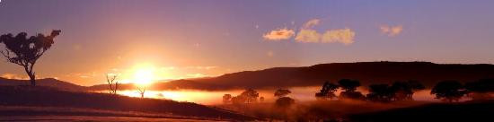 Bathurst Sheep and Cattle Show-巴瑟斯特必去景点