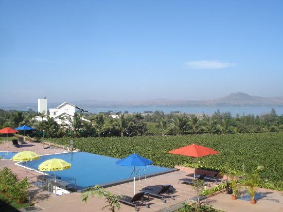 Sula Vineyards景点图片