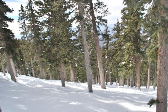 Ski Santa Fe-圣菲必去景点