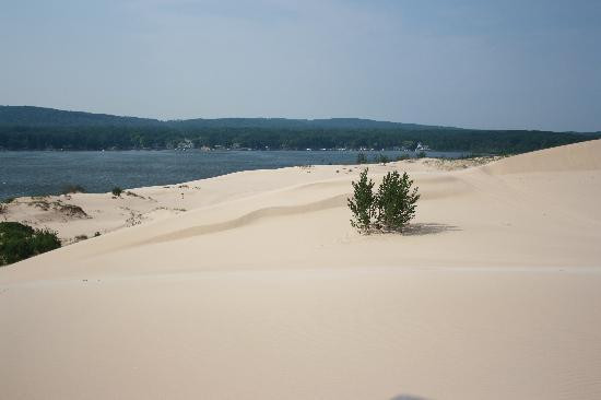 Mac Wood's Dune Rides-Mears必去景点