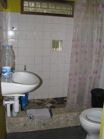 Tacugama Chimpanzee Sanctuary-弗里敦必去景点