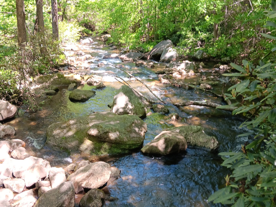 Jones Gap State Park-Marietta必去景点