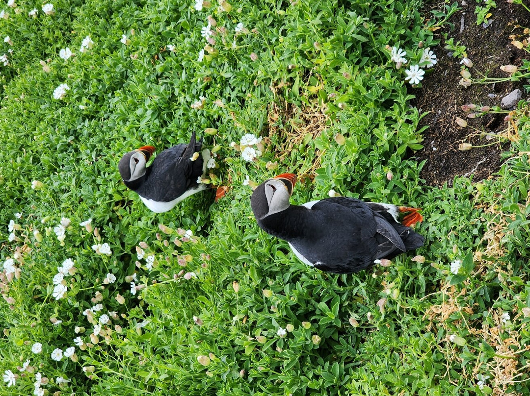Skellig Michael Voyage-Portmagee必去景点