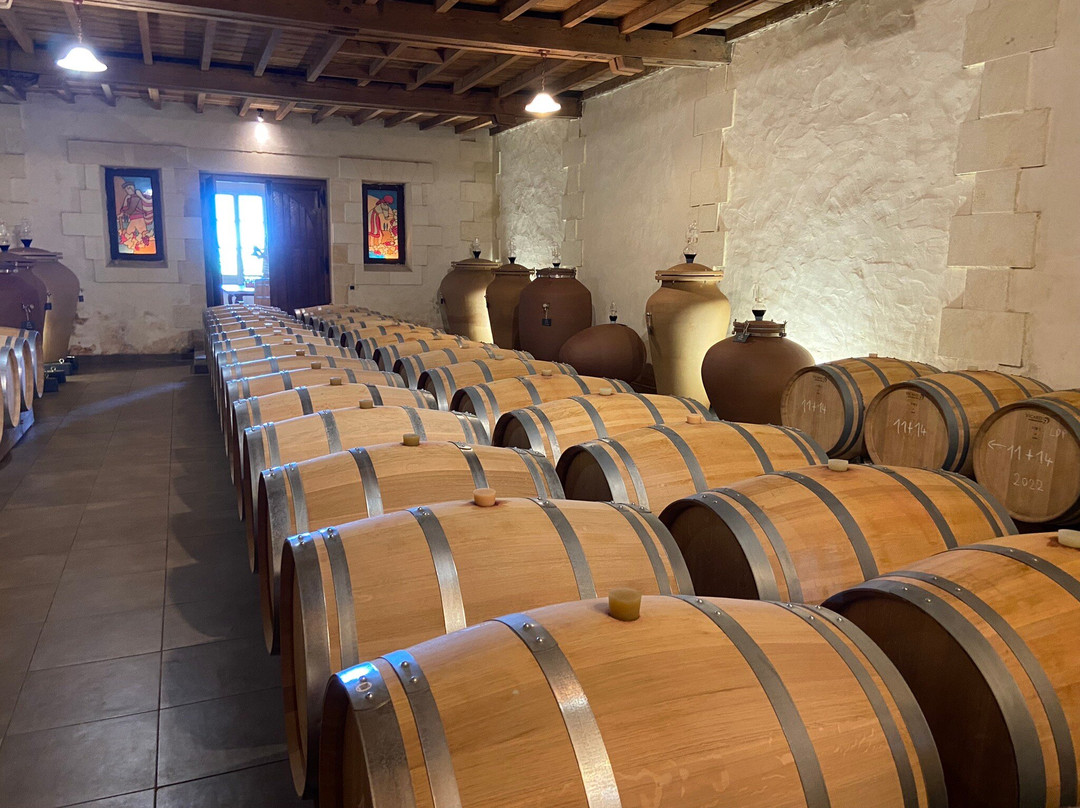 Chateau Tournefeuille主图