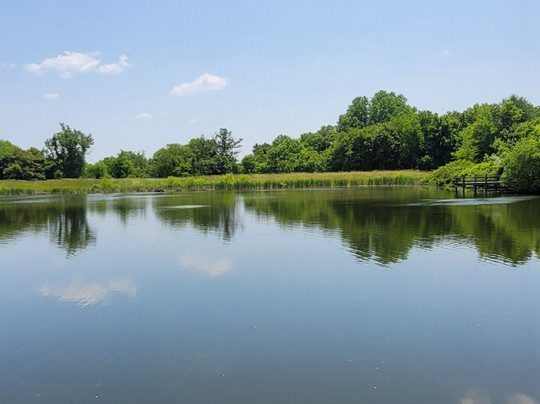 Warfields Pond Park-Glenwood必去景点