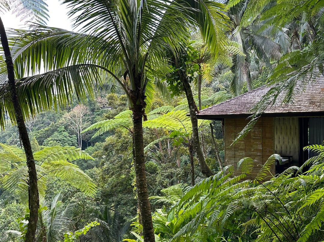 COMO Shambhala Retreat at COMO Uma Ubud景点图片