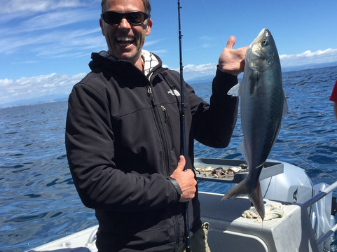 Rampant Charters-纳皮尔必去景点