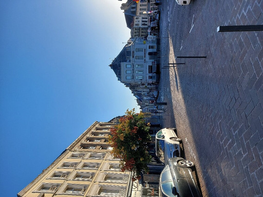 Hotel les Frangins主图