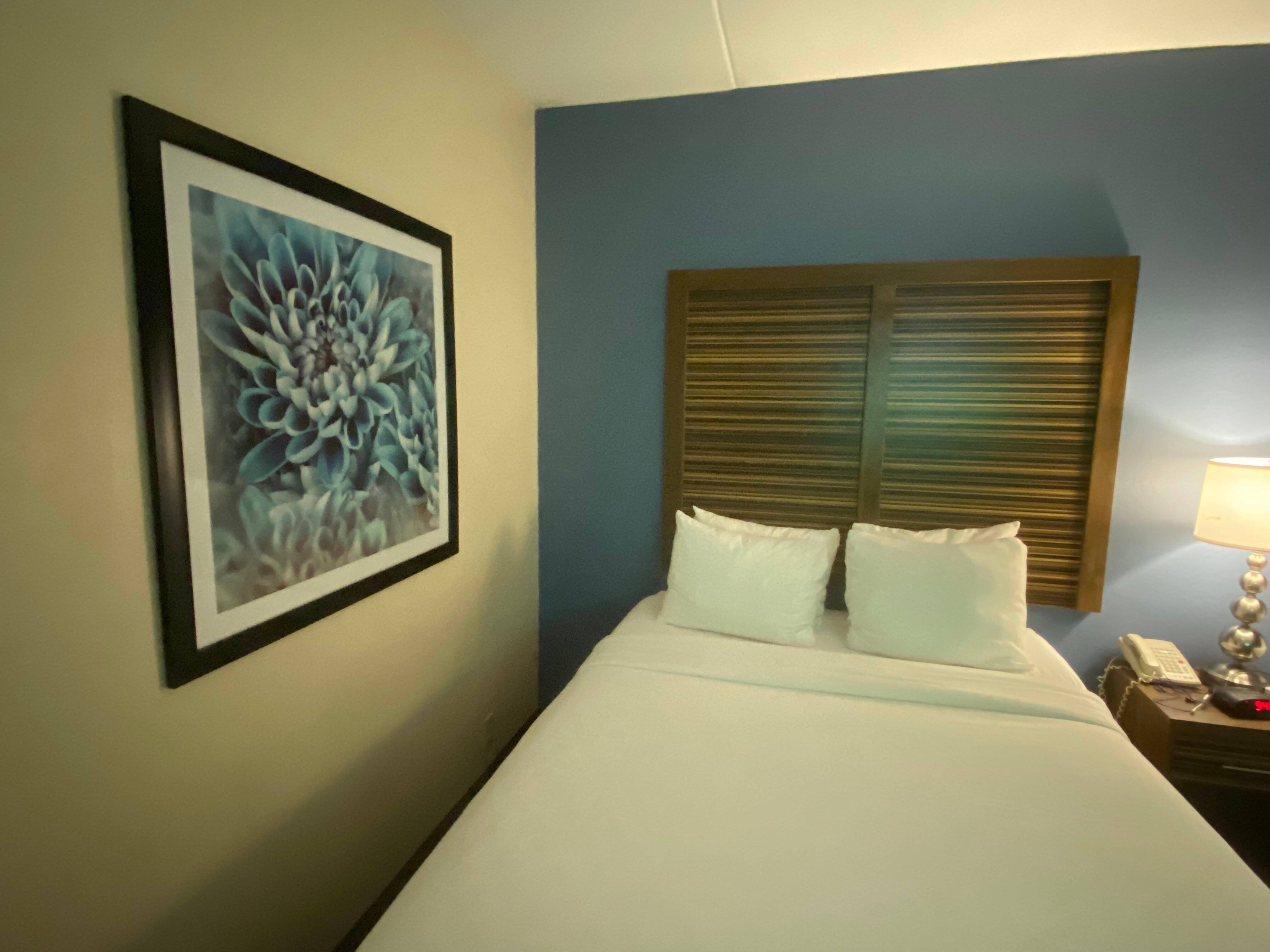 Best Western Fishers Indianapolis Area-官方