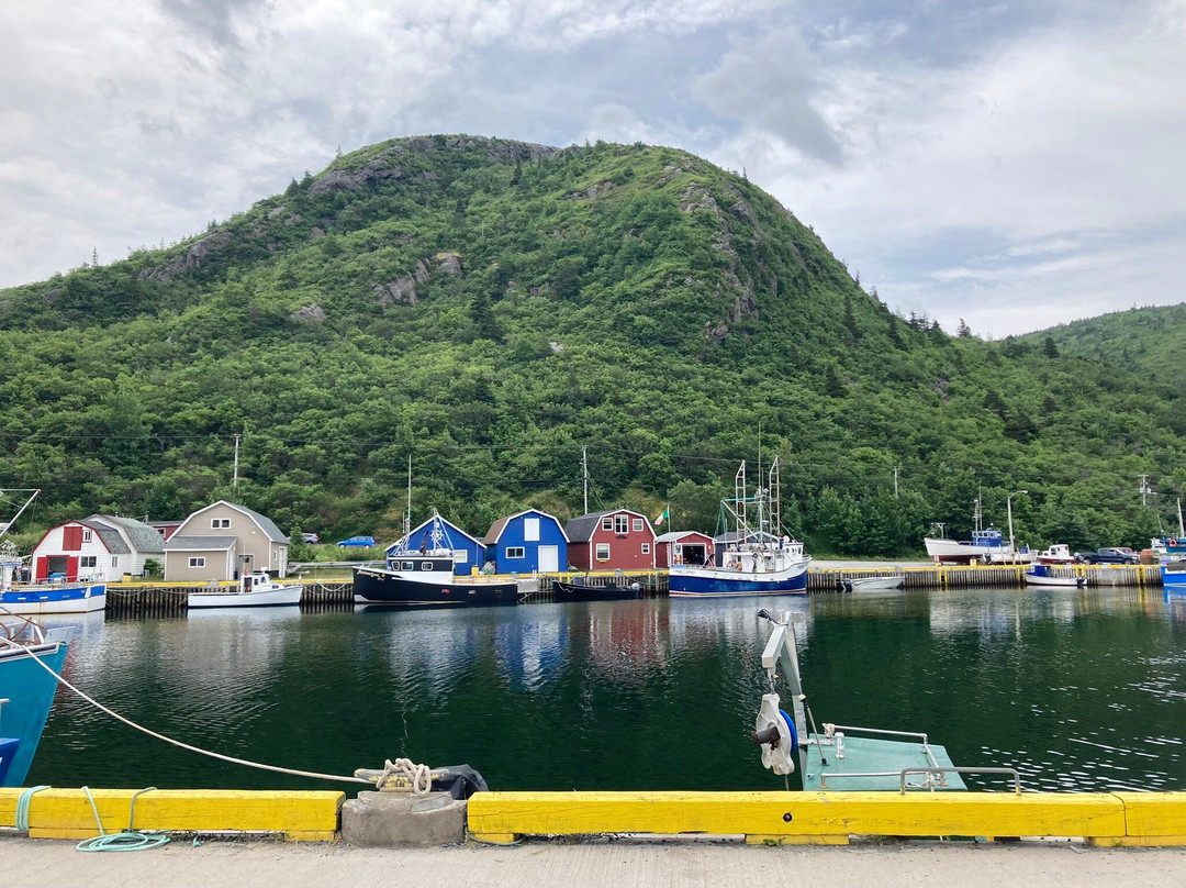 Petty Harbour Mini Aquarium-Petty Harbour必去景点