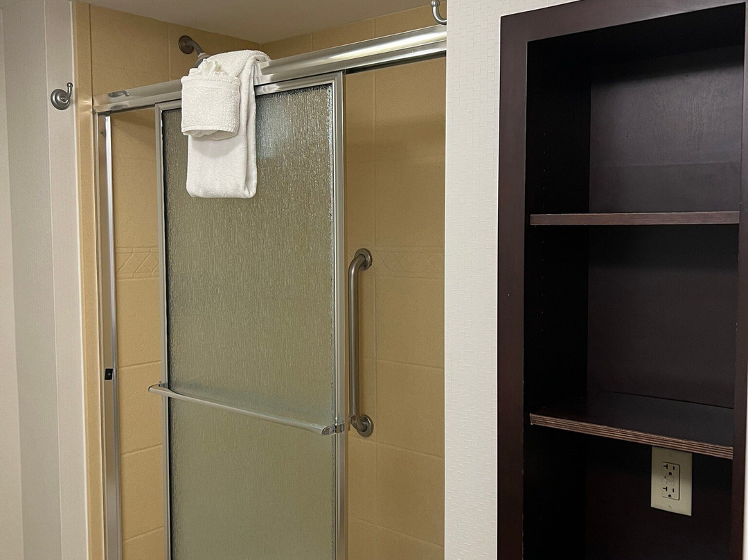 坦帕韦斯利礼拜堂希尔顿恒庭旅馆&套房酒店主图