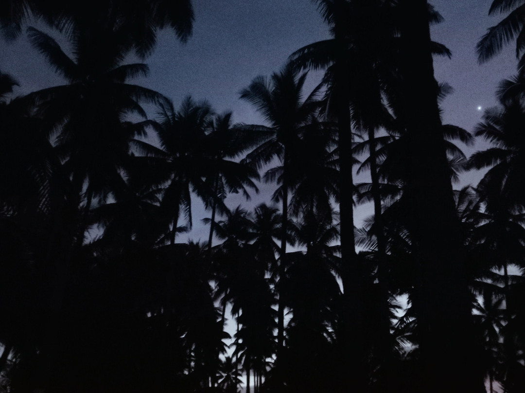 Virgin Cocoa - Tropical Hideaway Island主图