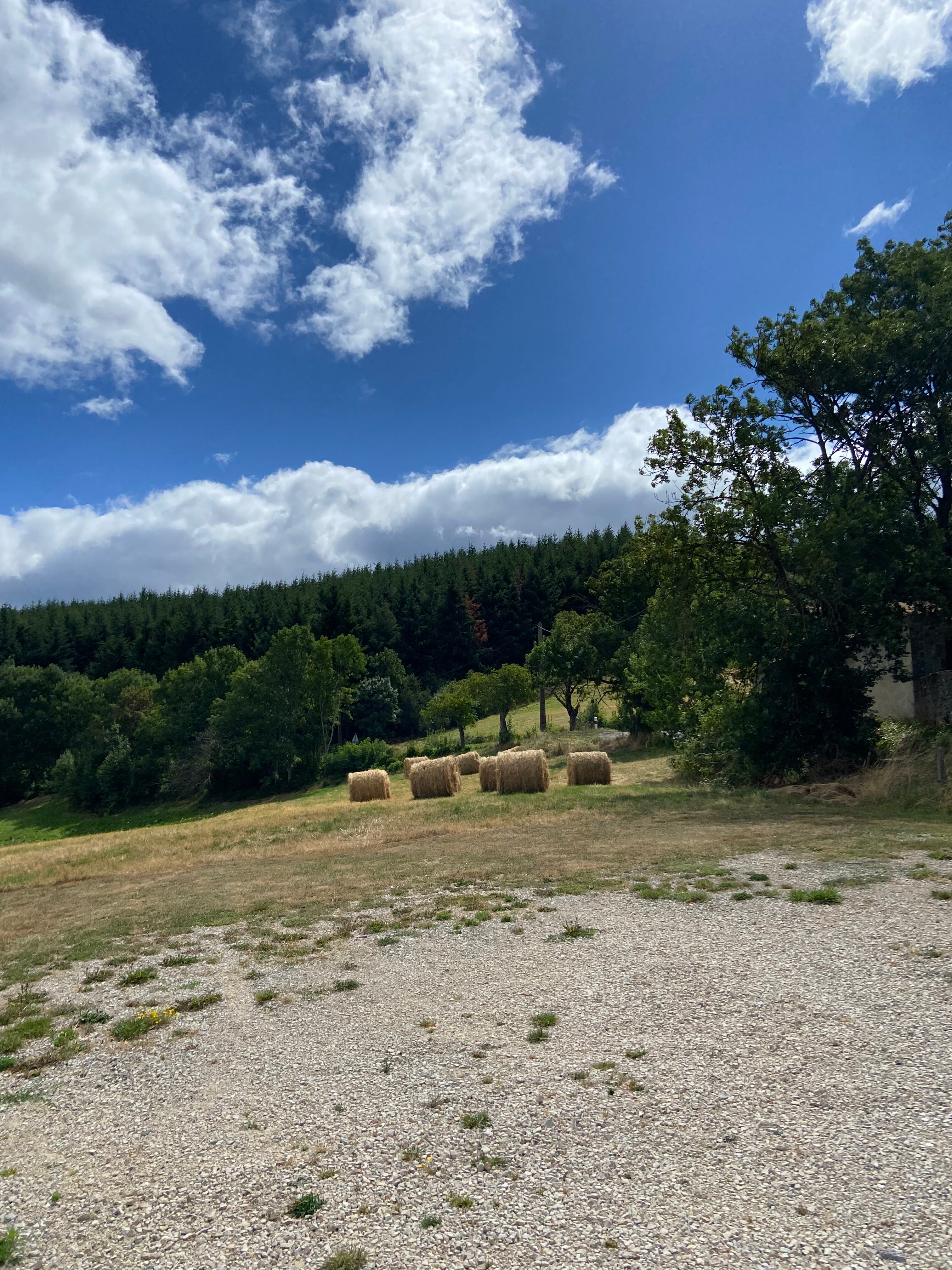 Domaine de l'Abeale-官方