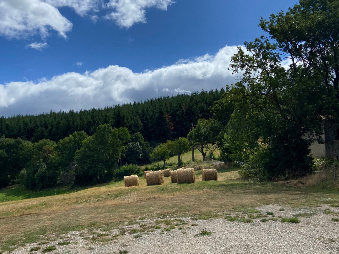 Domaine de l'Abeale主图