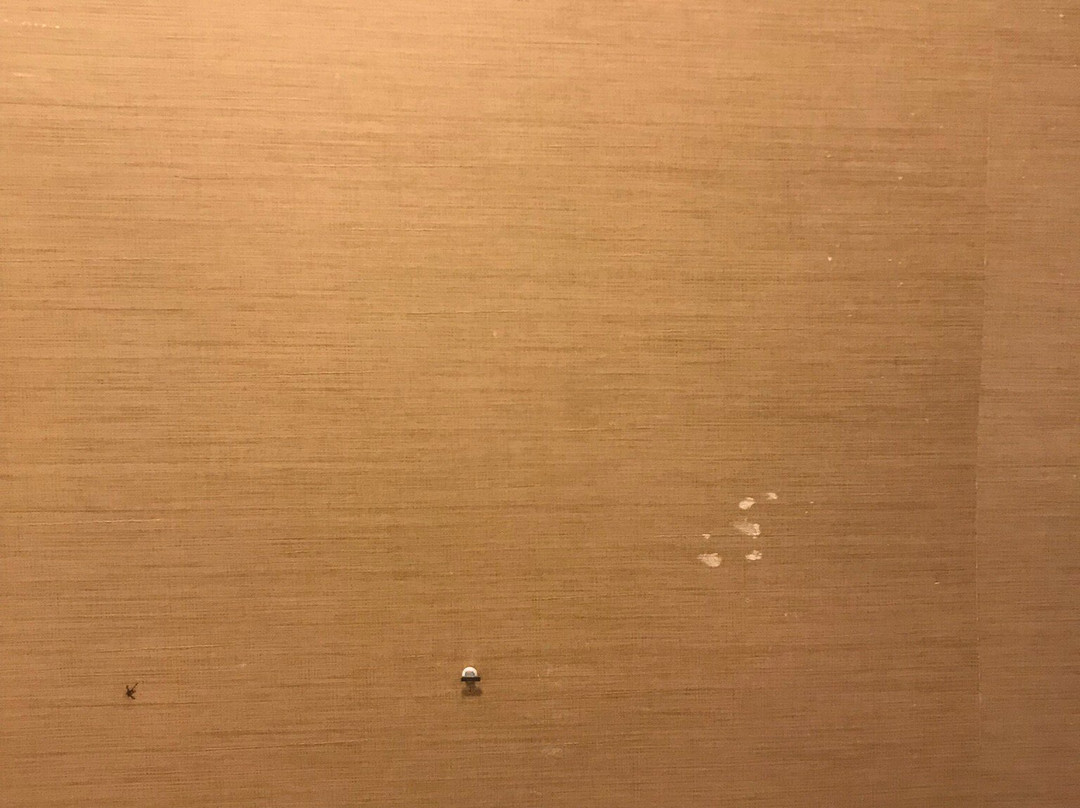 Fairfield by Marriott Inn & Suites Farmington主图