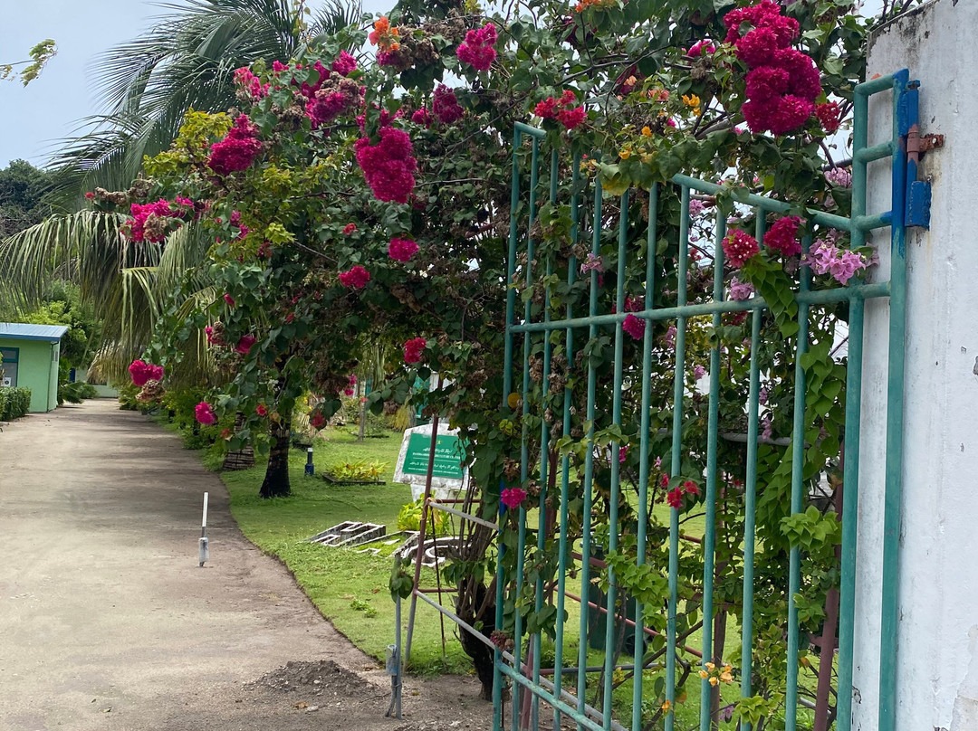 Cerulean View Residence主图