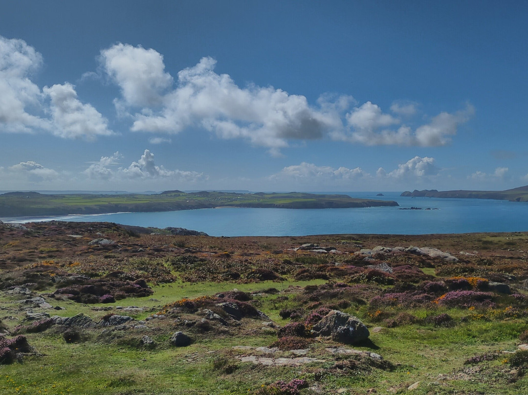 Whitesands Bay-St. Davids必去景点