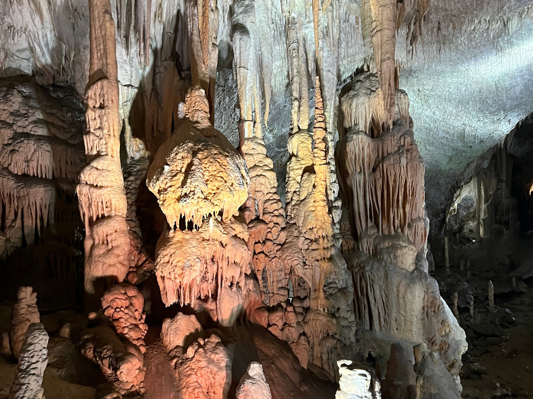Bespoke Croatia Tours & DMC景点图片