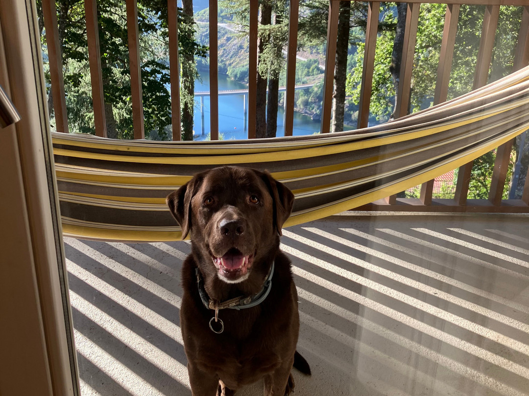 Hotel Rural Misarela主图