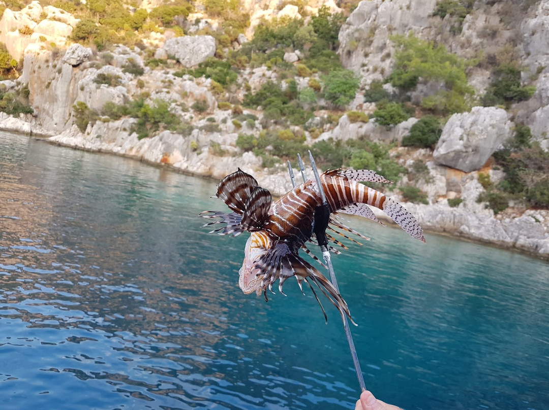 Kekova Flower3 Boat Charter-Kaleucagız必去景点