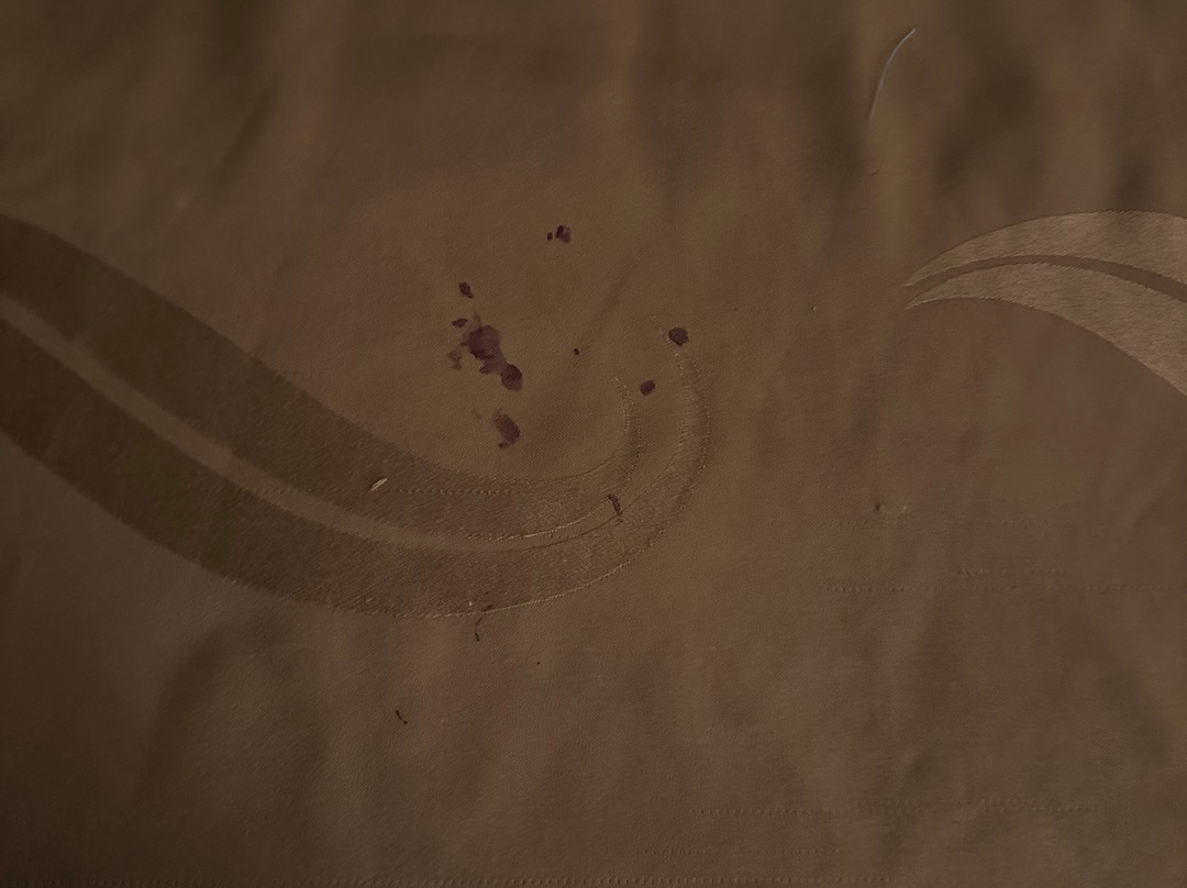 Quality Inn & Suites Baton Rouge West - Port Allen主图