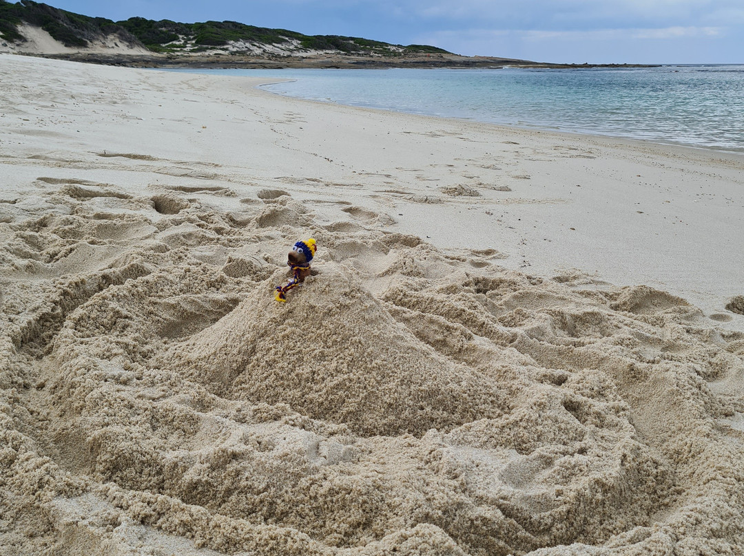 Munglinup Beach景点图片
