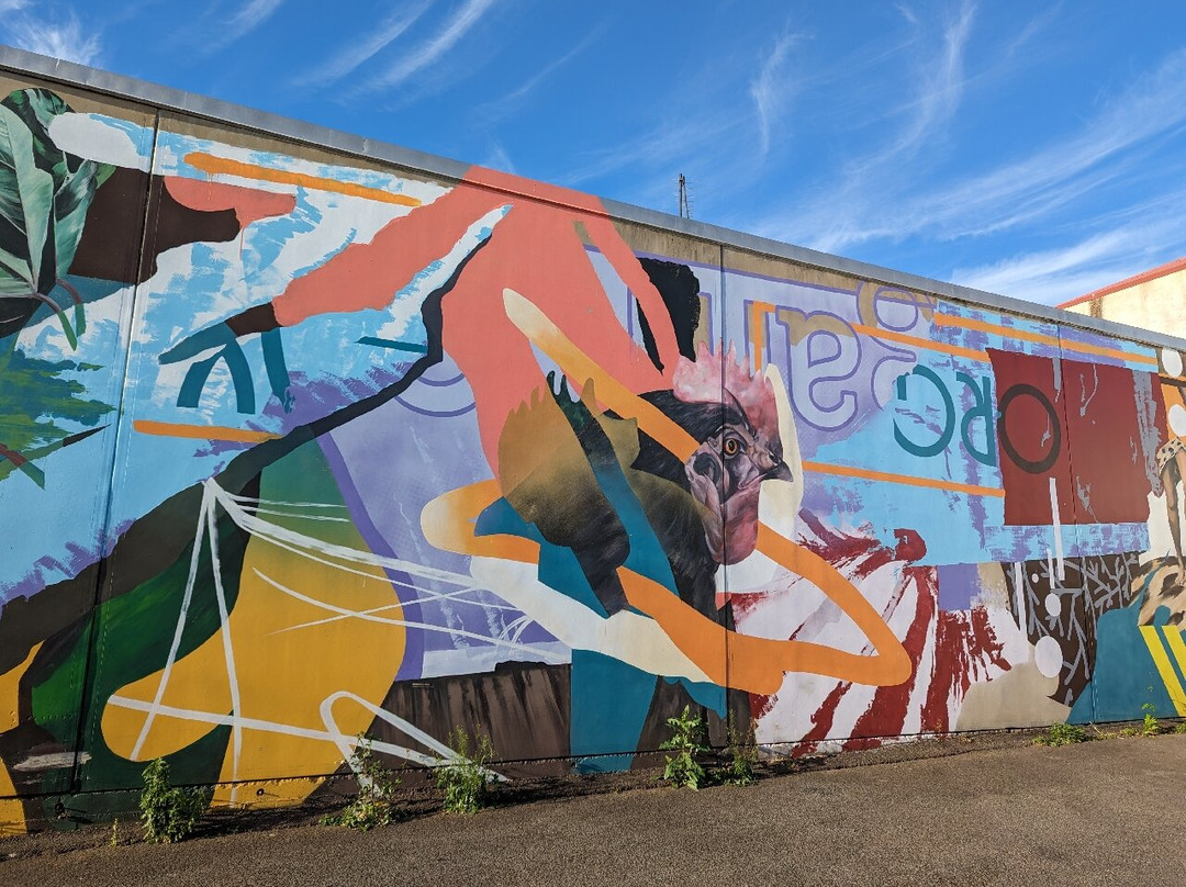 First Coat Outdoor Gallery-图沃柏必去景点