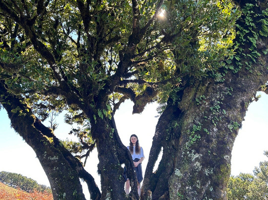 Banana Joe Tours Madeira