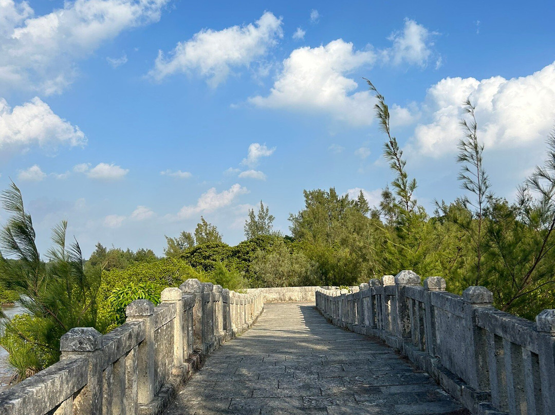 Shimajiri Mangrove Forests-宫古岛市必去景点