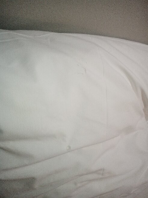 Ruslamere Hotel & Conference Centre主图