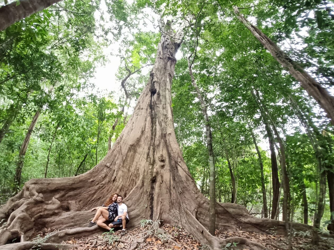 Parque Nacional de Anavilhanas-Novo Airao必去景点