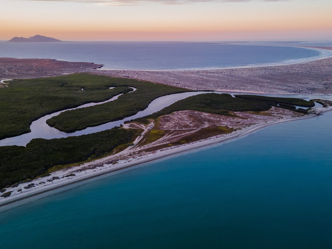 GoDiveBaja-拉巴斯必去景点