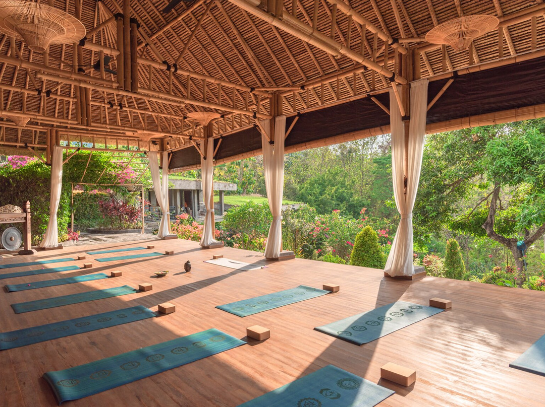 Alamanda Lovina Resort | Yoga Retreat Bali主图