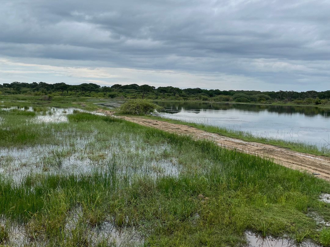 Bundala Wings And Wild Guilde Tours-Hambantota必去景点