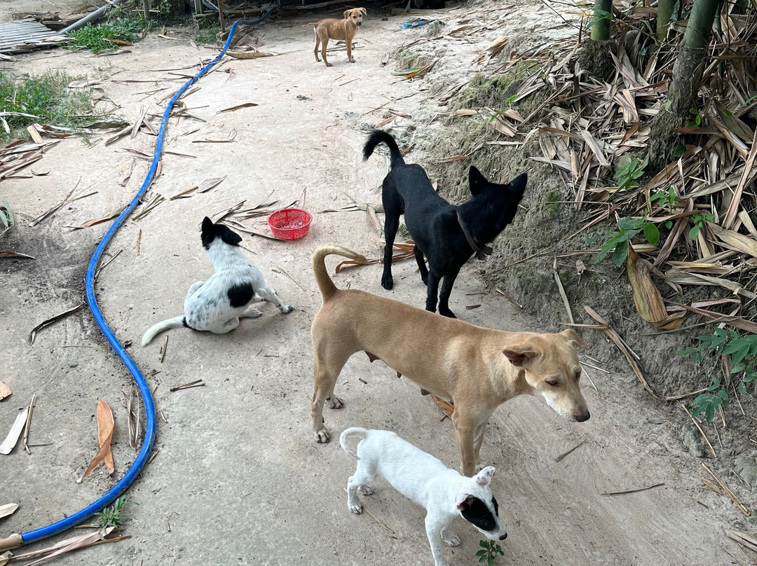 Cu Chi Boutique Farmstay主图