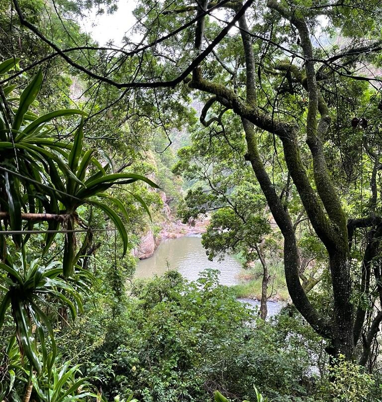Magoebaskloof Canopy Tours-海纳茨堡必去景点