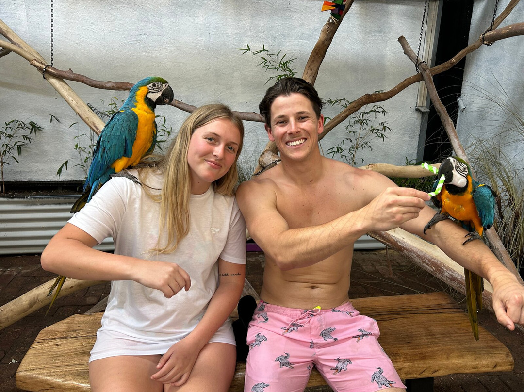 Port Stephens Animal Adventures景点图片