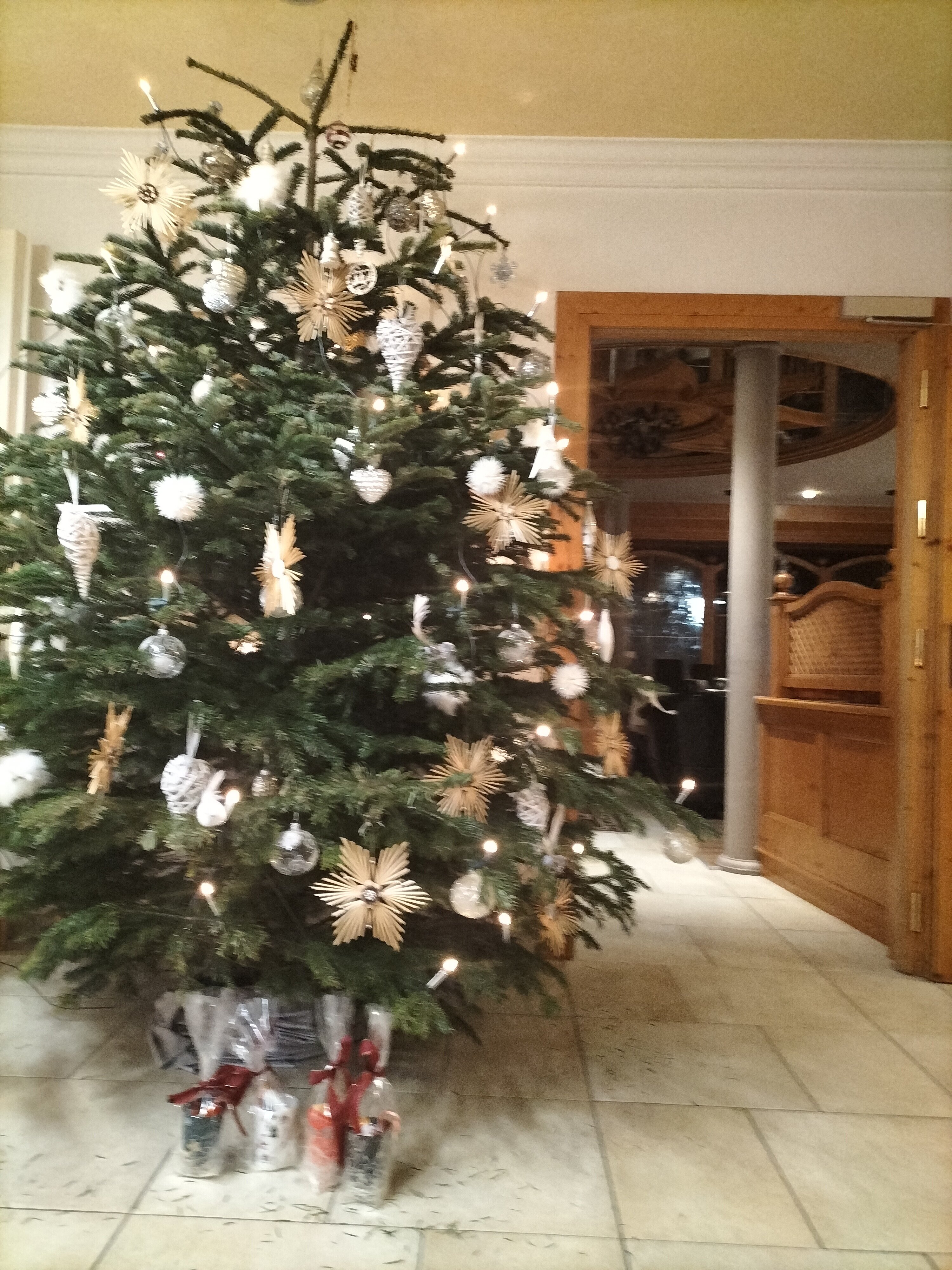 Hotel Kristall-官方