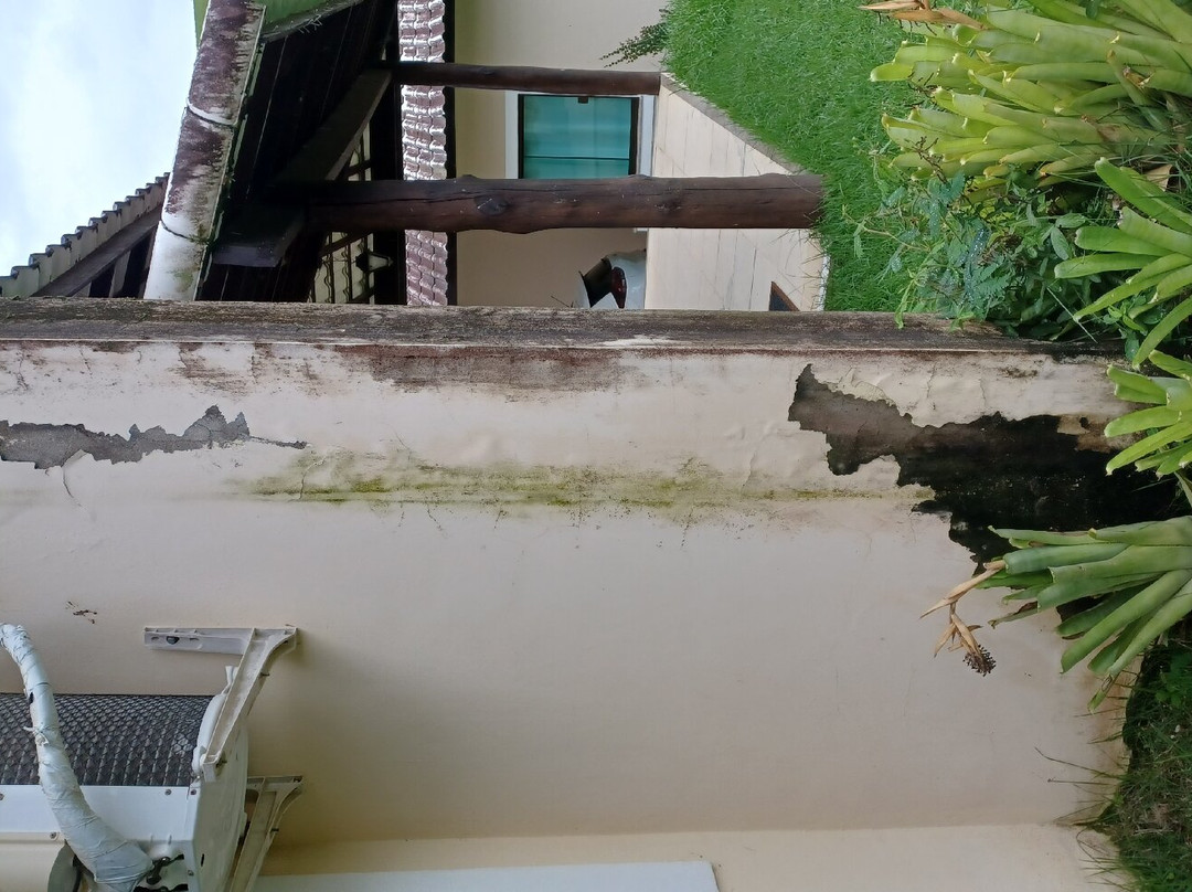 Hotel Pousada Bambuzal主图