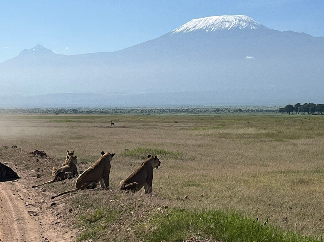 The Safari Side Travel Agency-Iten必去景点