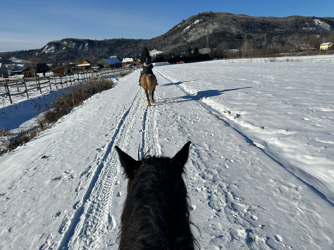 Les Montagnards de Charlevoix-Baie-St-Paul必去景点