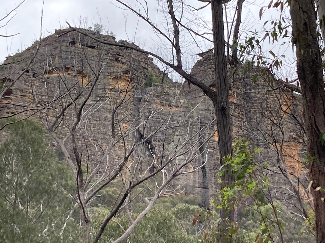 Glow Worm Tunnel-利特高必去景点