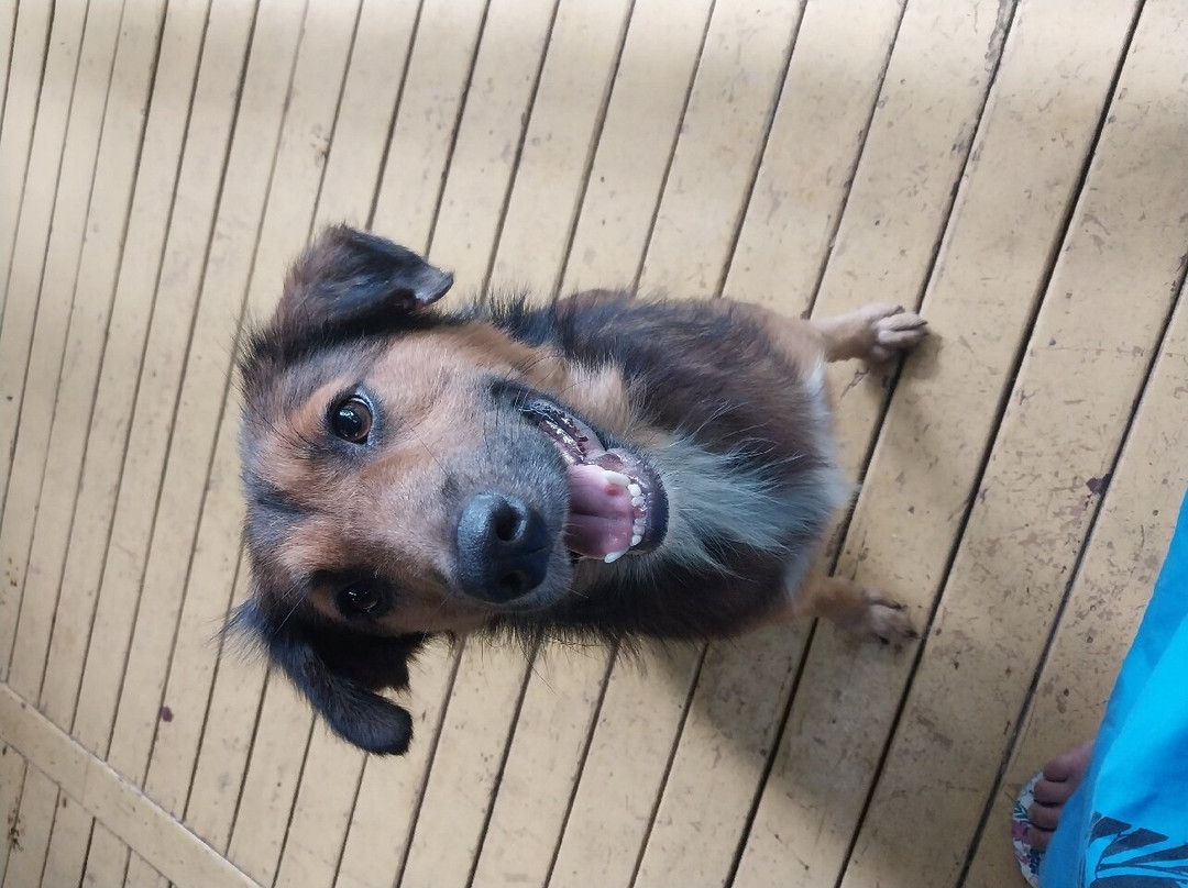 Rainforest Eco Lodge主图