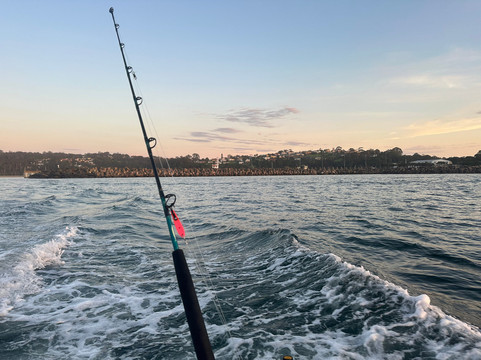 Freedom Charters-伊登港必去景点