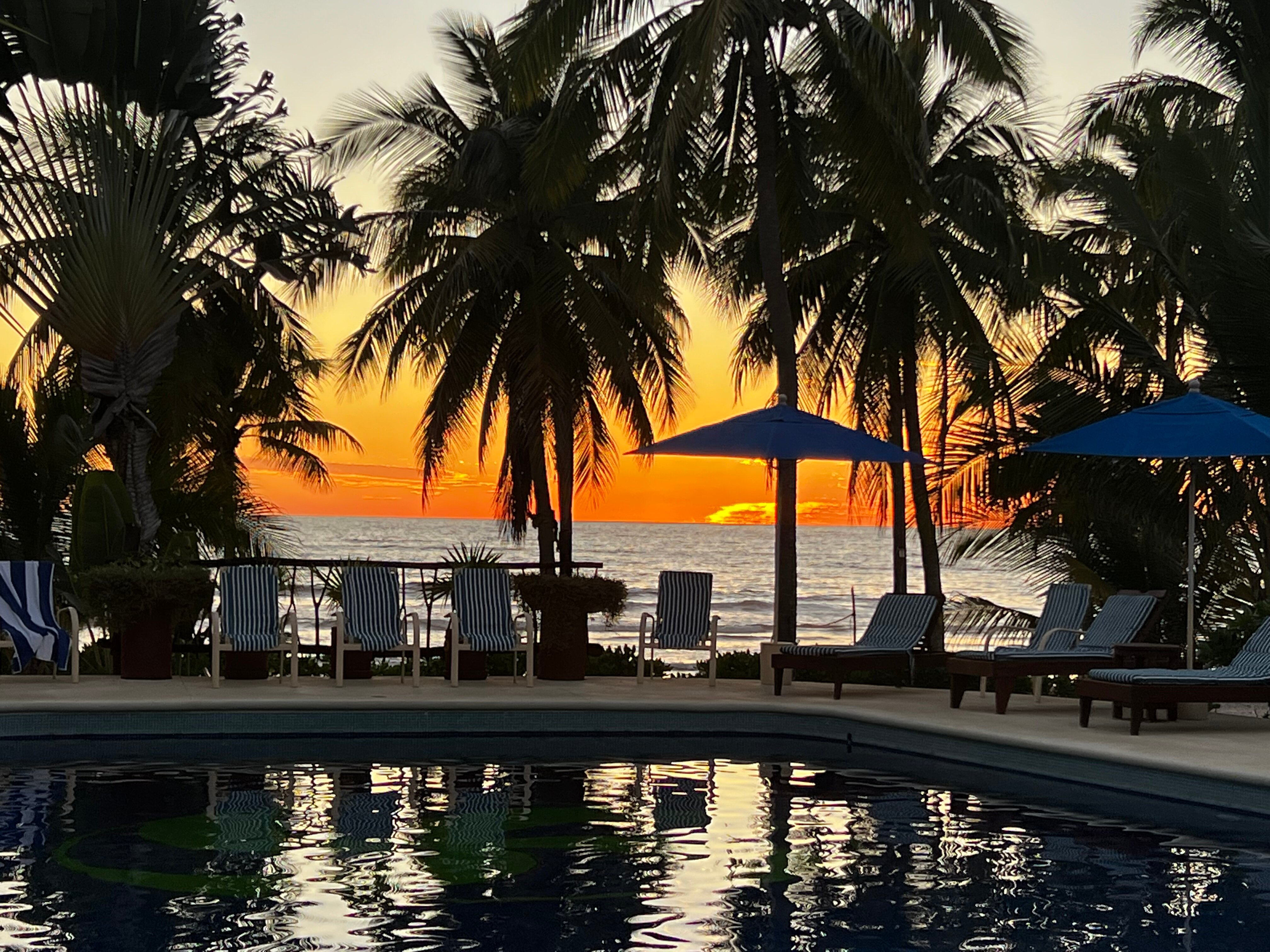 Majahua Palms-官方