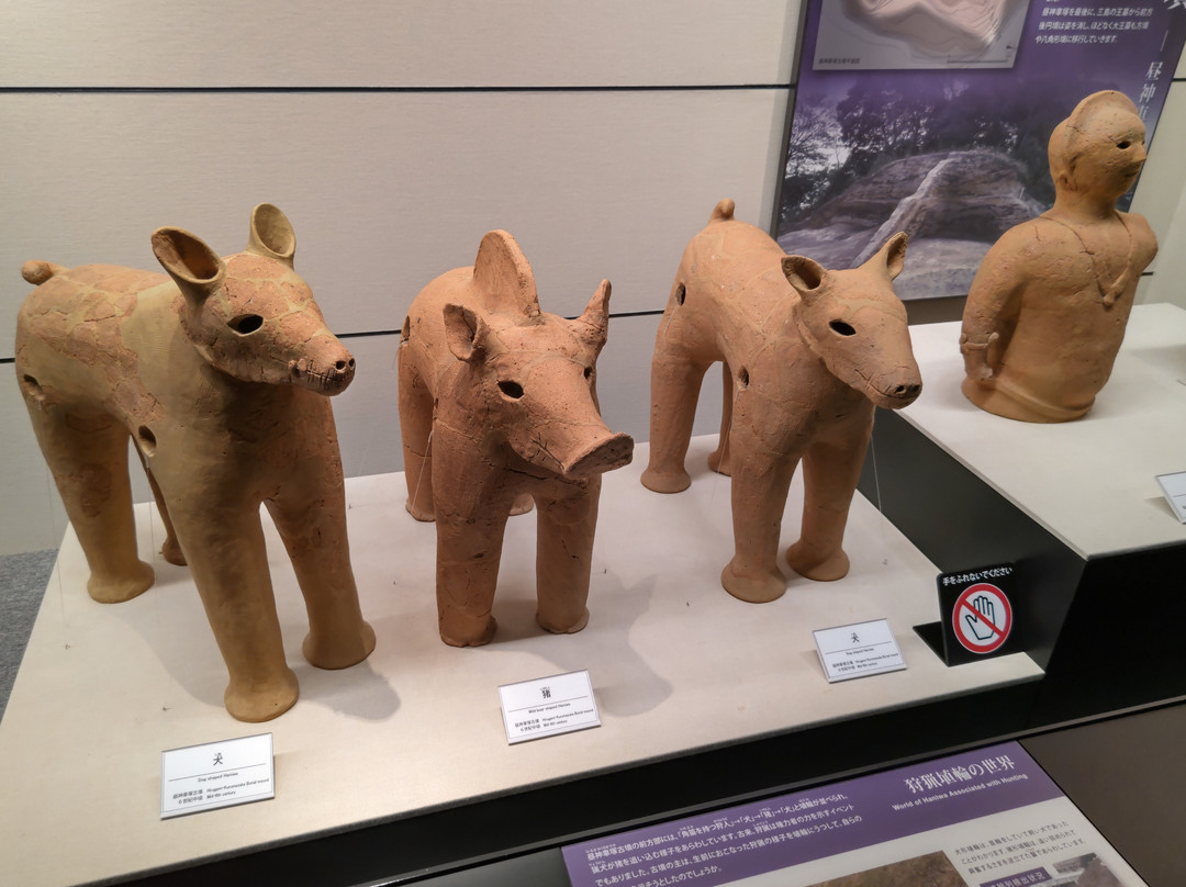 Imashirozuka Ancient History Museum-高规市必去景点